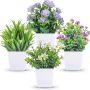 Der Rose Set of Succulents Plants Artificial in Pots for Bedroom Aesthetic Living Room Office Shelf Bathroom Decor