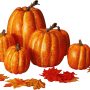 Winemana Thanksgiving Artificial Pumpkins Fall Decorations for Home