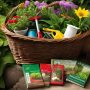 Creative Gardening Gift Basket Ideas for Green Thumb Friends