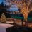 Light Up the Holiday with Commercial Christmas Lights Outdoor