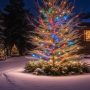 Illuminate Your Holidays with LED Christmas Tree Outdoor Lights