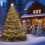 Bring Joy Home with a Lighted Outdoor Christmas Tree