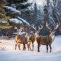 Light Up Your Holiday with Outdoor Christmas Reindeer