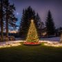 Spruce up Your Yard with Outdoor Christmas Trees!