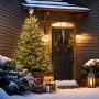 Spruce Up Your Holidays with an Outdoor Potted Christmas Tree