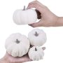 BESTTOYHOME Assorted Rustic Harvest White Artificial Pumpkins for Halloween Fall Thanksgiving Decoration