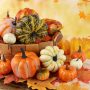 HAKACC Artificial Lifelike Simulation Mixed Pumpkins Thanksgiving Fall Harvest Home Decoration