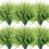 ZEOSTARO Artificial Plants Fake Boston Fern Greenery Outdoor UV Resistant