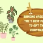 Unleashing the Magic of Green: Top Christmas Plant Gifts Ideas
